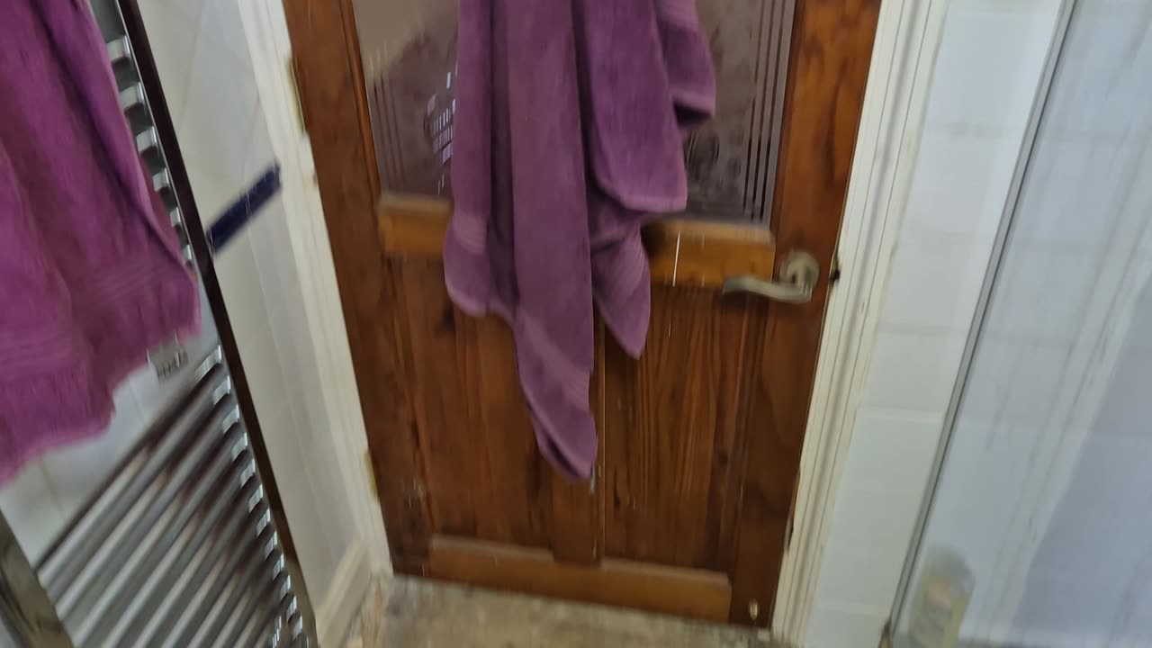Replace bathroom door