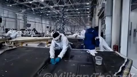 Footage of large-scale Geranium production,