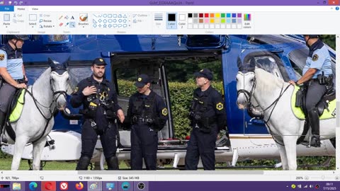 Slovenian GOVERNMENT got a powerful HELICOPTER slap