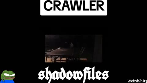 ANOTHER 😳CRAWLER?
