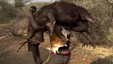 What a beautiful Day with Hadzabe hunt Success