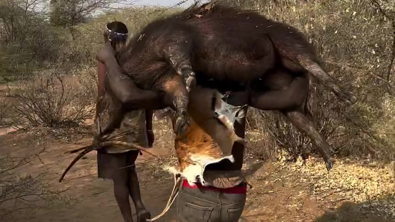 What a beautiful Day with Hadzabe hunt Success