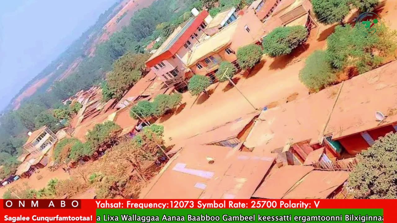 Oduu Waaree ONM-ABO Hagayya 16-2025 itti dhiyaadhaa!