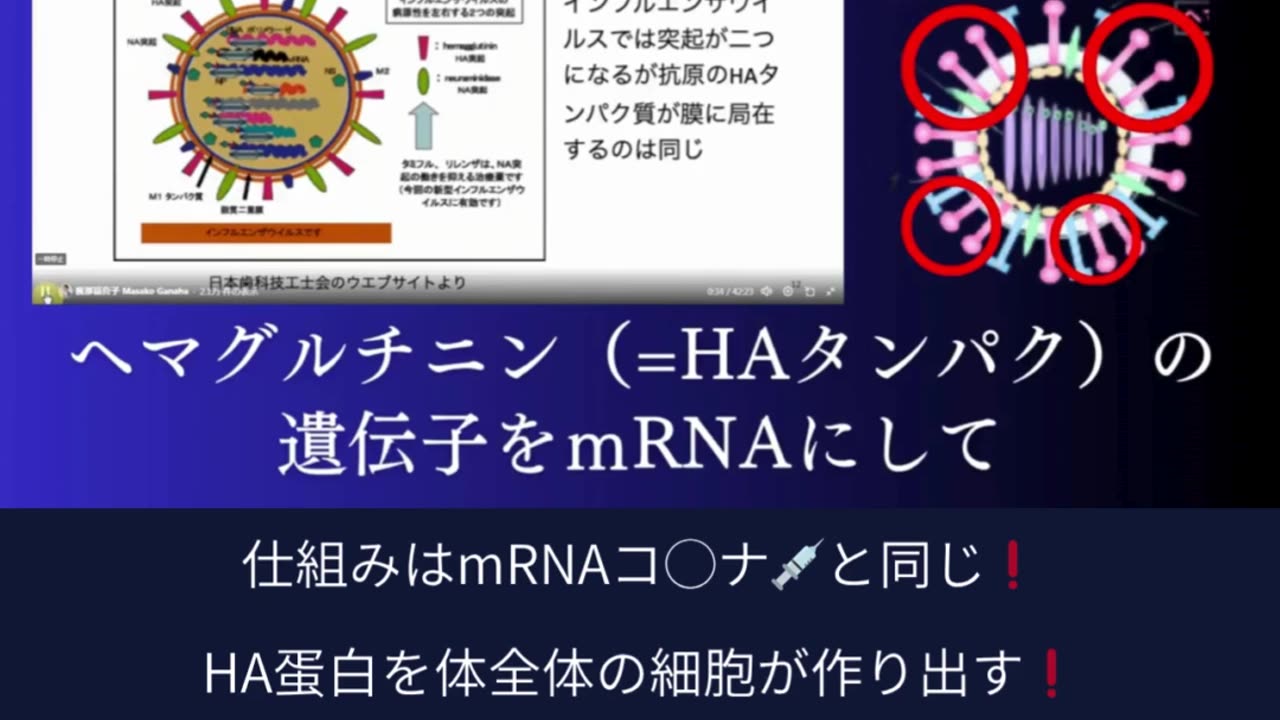 今秋から始まるmRNAインフル💉は射ってはいけない❗️
