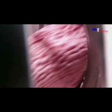 Tim Rifat TikTok Videos