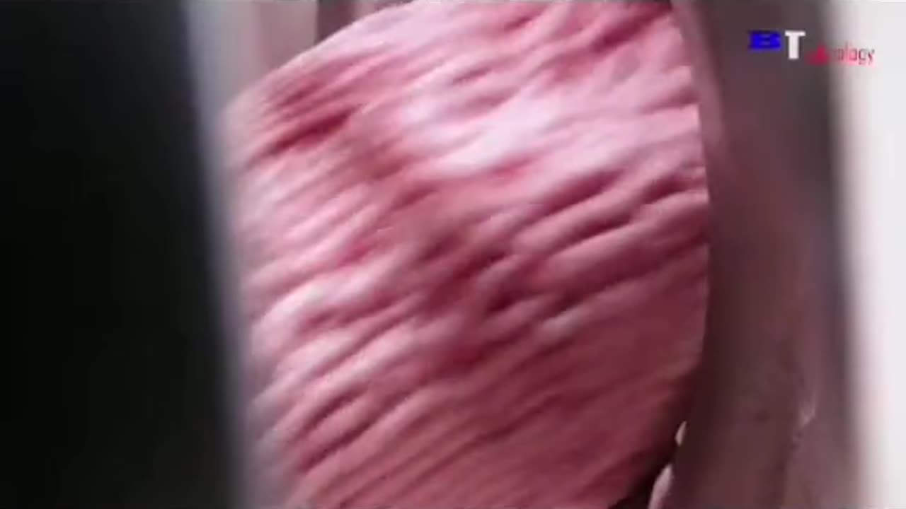 Tim Rifat TikTok Videos