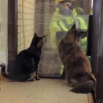 The cleanest window of the building.. 😂