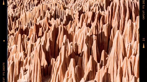 Tsingy Rouge Madagascar 👀 what or who are they