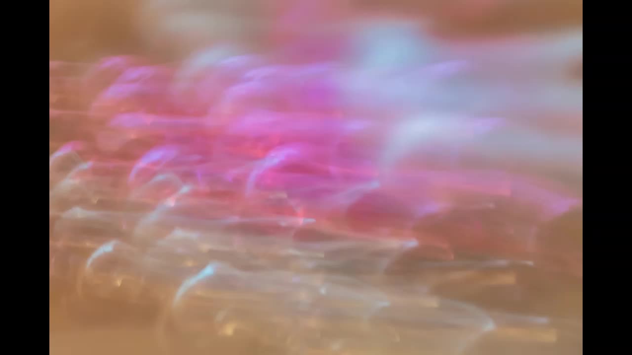 Lord Winter - Euphoric