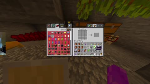 Playing Minecraft on my private server