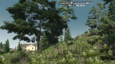 Streaming with OBS 7D2D