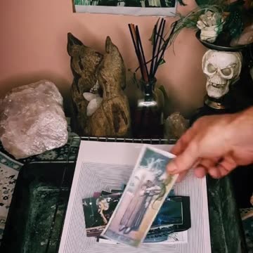 Tim Rifat TikTok Videos