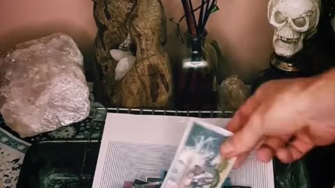 Tim Rifat TikTok Videos