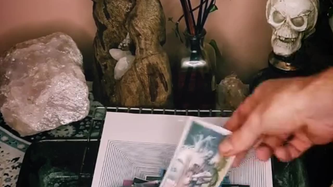 Tim Rifat TikTok Videos