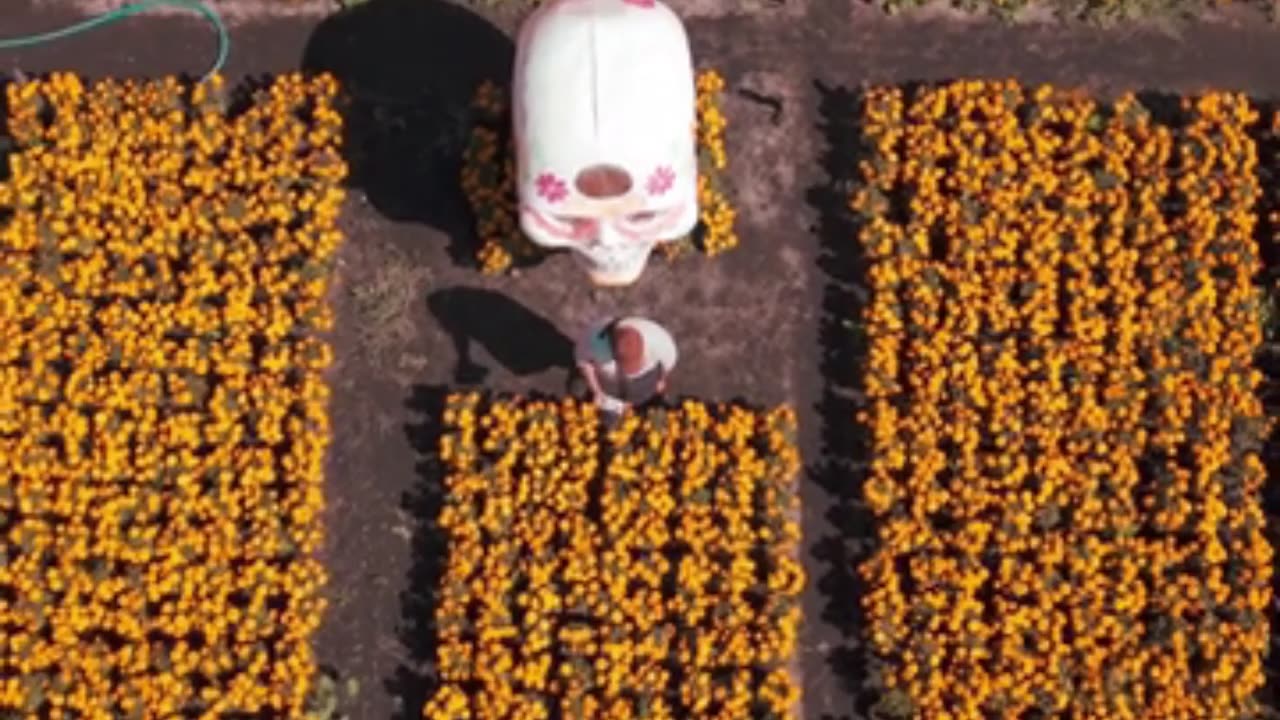 आज के टॉप 10 करेंट अफेयर्स | 4 नवंबर 2025 | Daily Current Affairs in Hindi | Current Quiz Hub