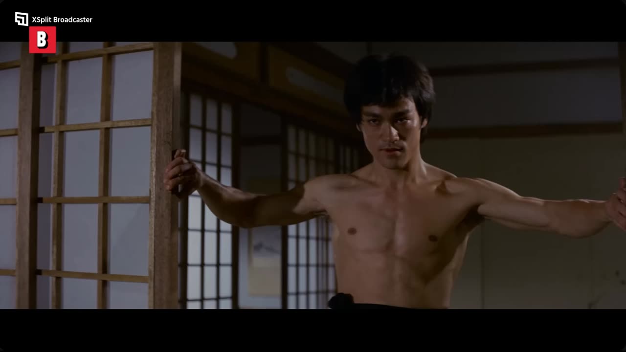BRUCE LEE FIST OF FURY (#song ADAM & EVIL)