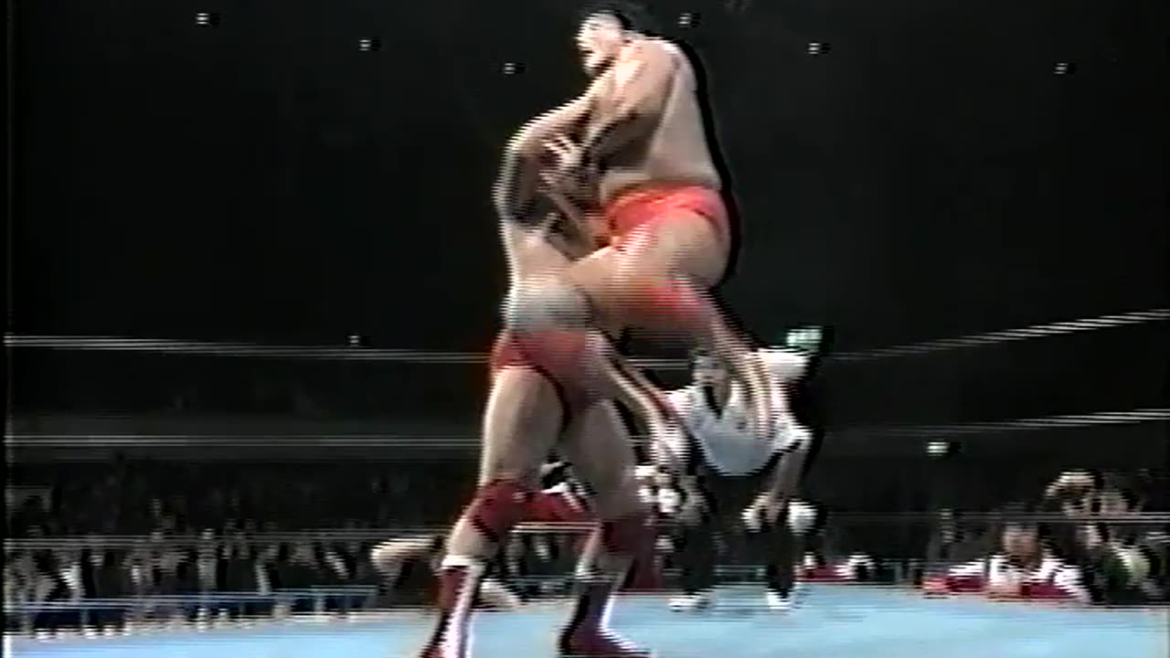 AJPW 1995