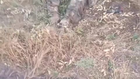 Ukraine war raw footage 5/31/25