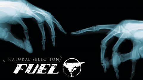 Fuel - Quarter