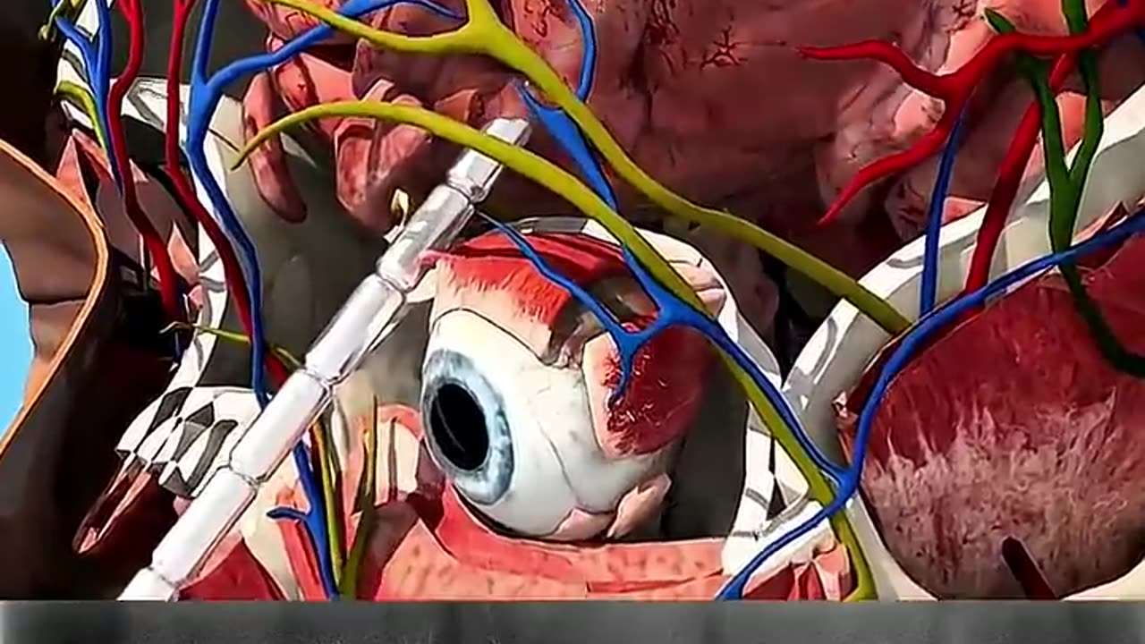 trending video popular video 📸 viral 🆒