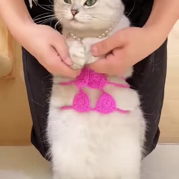 Cute overload ❣️❣️❣️