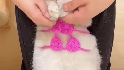 Cute overload ❣️❣️❣️