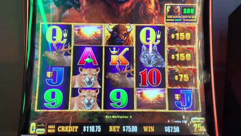 🎲 CASINO SHOWDOWN LIVE: Will Luck Be on Our Side Tonight?