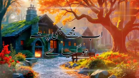Aslme video