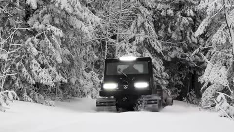 Focus Frenzy – Hardcore Lofi