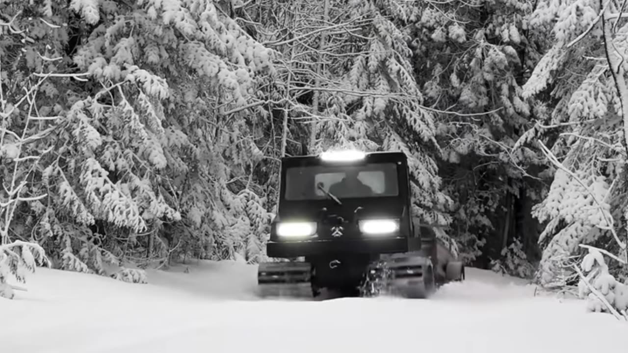 Focus Frenzy – Hardcore Lofi