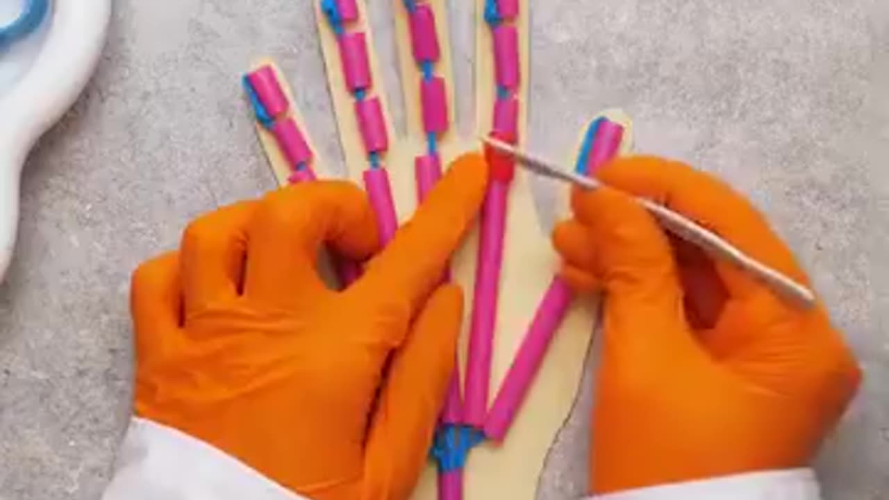 COMMON MEDICAL PROCEDURES