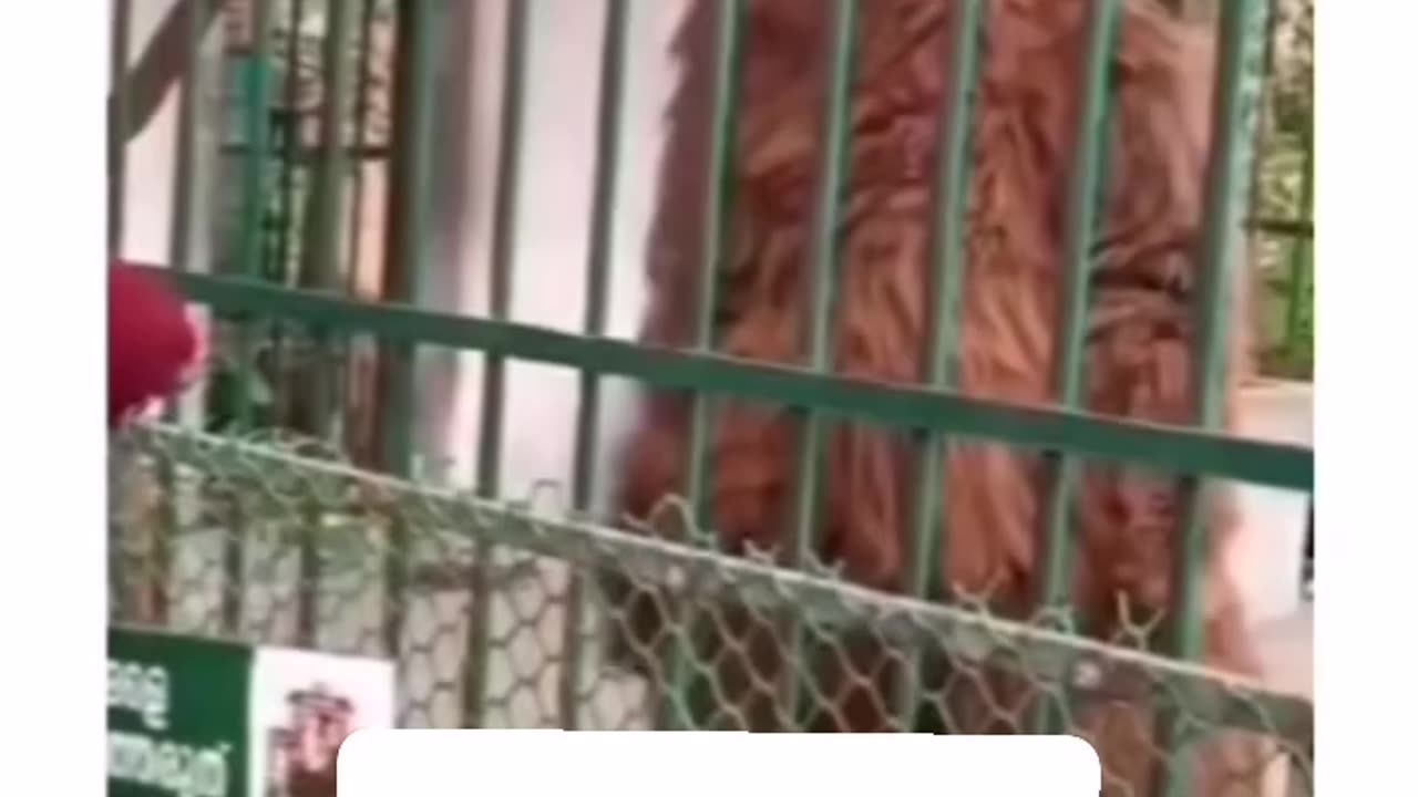 _reels _insta _viral __india _likes _dance _tiktok _trending _reels _video _youtube _trend _video