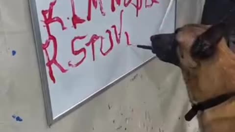 Very interesting video of dog 🐕 intelligent 🤓 dog