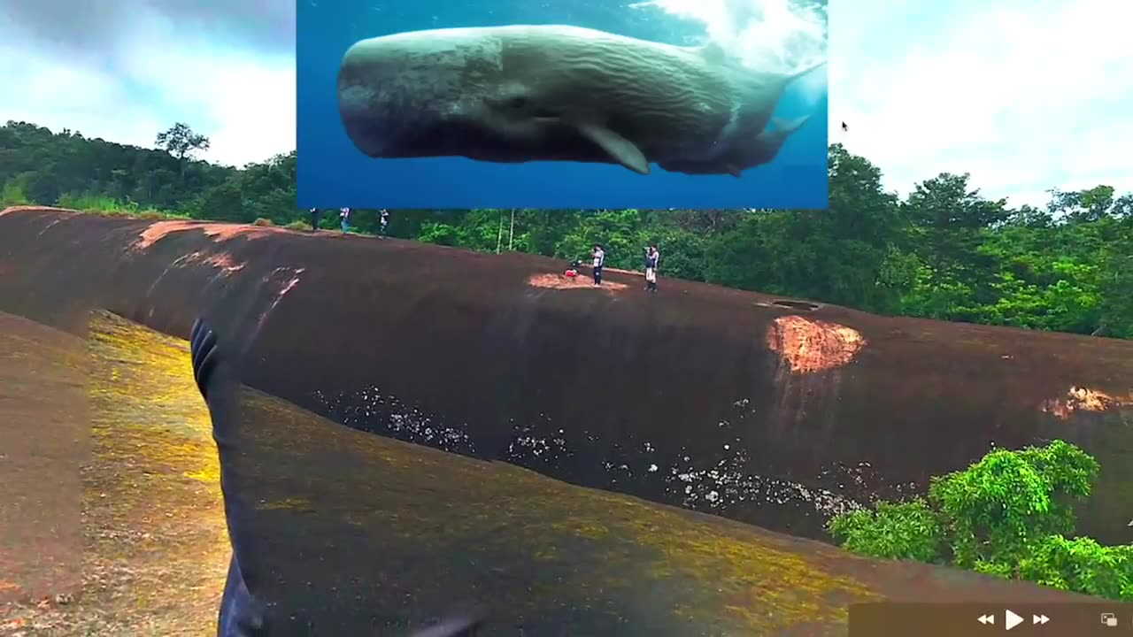 Earth is FULL of mysteries and heres a REALLY BIG one!