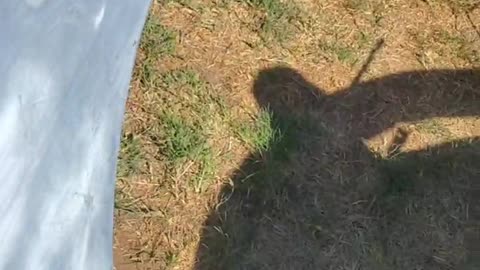 072325 54 Chevy fender PART 2 So bondo is a protective coating?