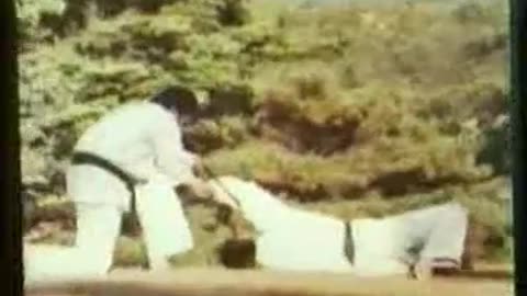 Hapkido