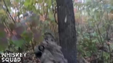 Ukrainian Ambush on Russian Infantry Near Lyman