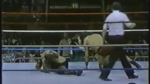 WWF All American Wrestling Feb 12 1984