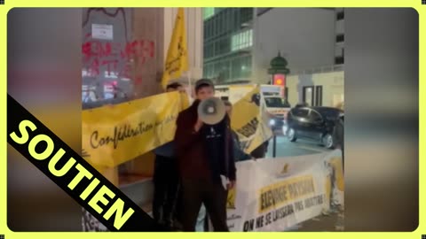 Inadmissible : Ils ont abattu les vaches avec force