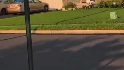 USA vibes