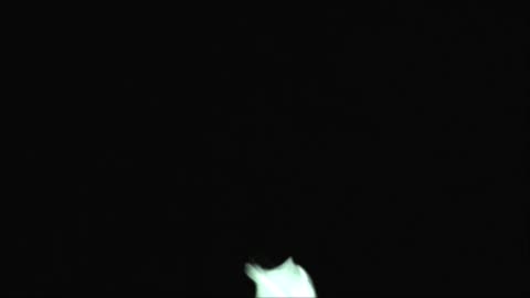 UFO IDENTIFIED Barbell ET Drones Over Adelaide Snapshots 8