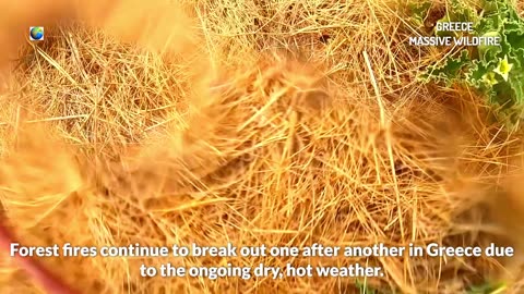 La Grèce est à nouveau en feu