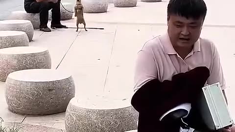 Fanny video 20