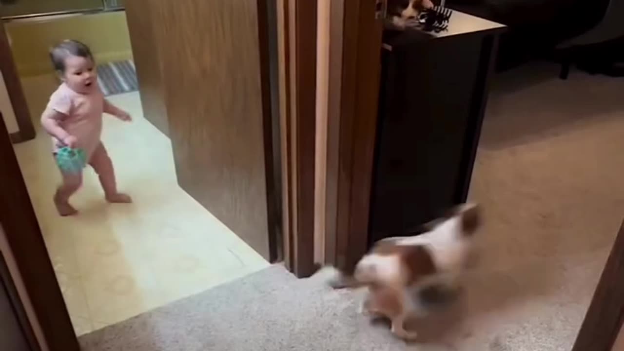 Peekaboo, Puppy Style! قایم‌موشک به سبک سگ‌ها!