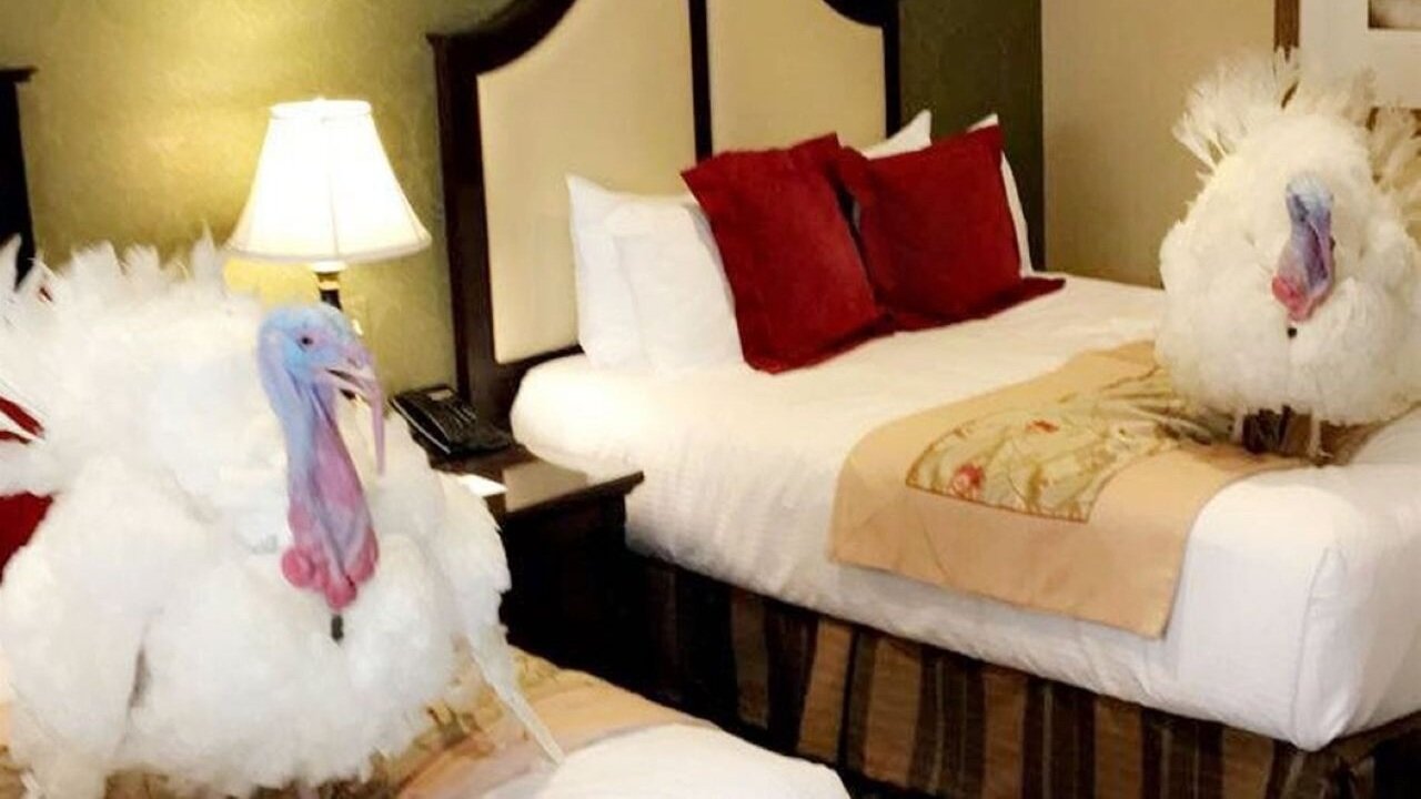 President Trump Just Made A Bombshell Announcement About Bidens Invalid Pardons