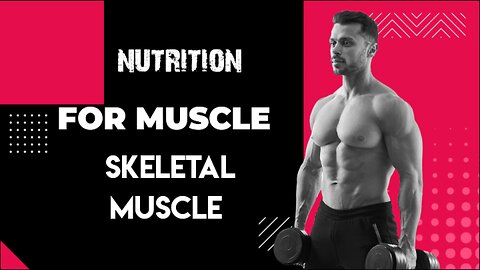 nutrition for MUSCLE 💪