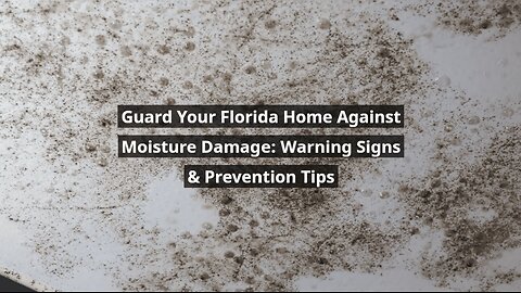 Moisture Damage Warning Signs | Guard Your Florida Home & Prevent Costly Repairs