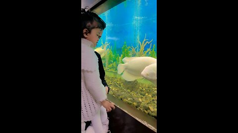Aquarium #zoo #zooview #rumble
