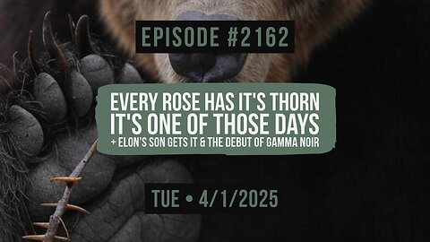 Owen Benjamin | #2162 Every Rose Has It's Thorn - It's One Of Those Days+ Elon's Son Gets It & The Debut Of Gamma Noir