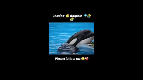 jessca dolfin cry